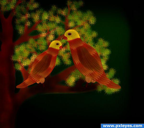 birds in love...